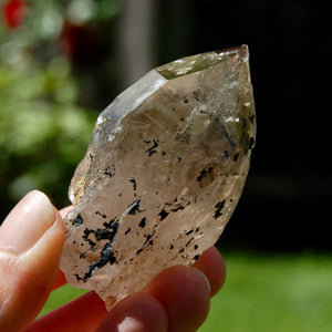 Rainbow Filled Smoky Quartz Crystal Cathedral Point, Akashic Lines, Malawi