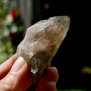 Ornate Gemmy Smoky Quartz Crystal Cathedral Starbrary