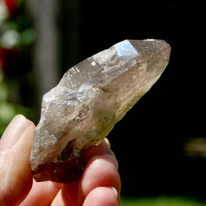 Ornate Gemmy Smoky Quartz Crystal Cathedral Starbrary