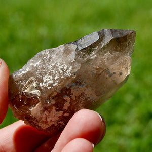 Ornate Gemmy Smoky Quartz Crystal Cathedral Starbrary