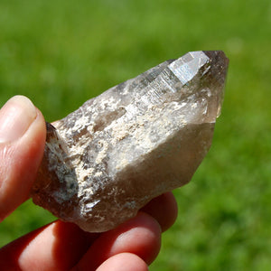 Ornate Gemmy Smoky Quartz Crystal Cathedral Starbrary