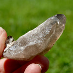 Ornate Gemmy Smoky Quartz Crystal Cathedral Starbrary
