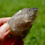 Ornate Gemmy Smoky Quartz Crystal Cathedral Starbrary
