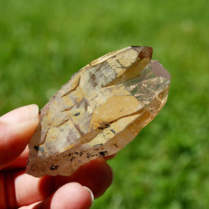 Tantric Triplet Twin Smoky Quartz Crystal Cathedral Starbrary, Akashic Lines, Malawi