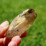 Tantric Triplet Twin Smoky Quartz Crystal Cathedral Starbrary, Akashic Lines, Malawi