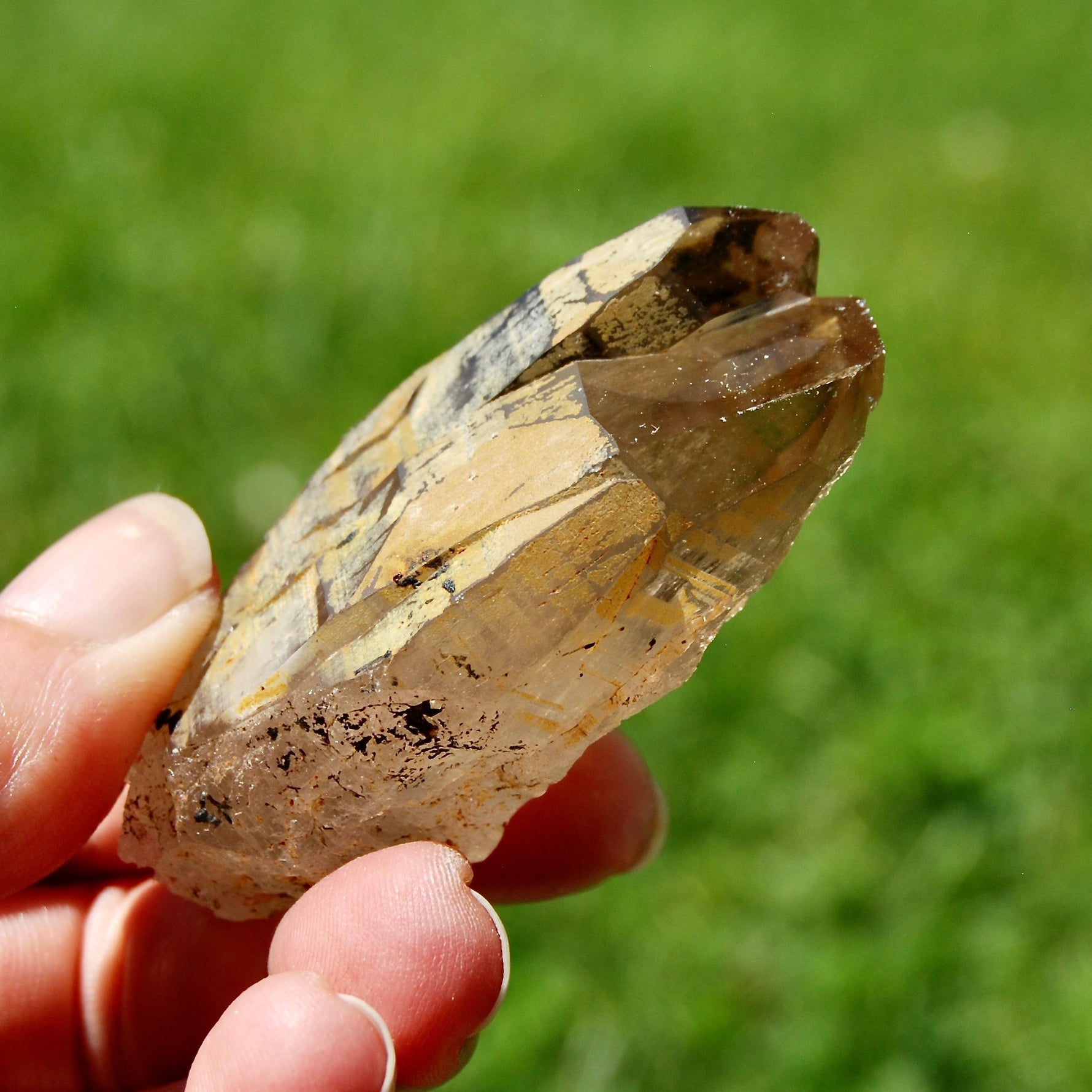 Tantric Triplet Twin Smoky Quartz Crystal Cathedral Starbrary, Akashic Lines, Malawi