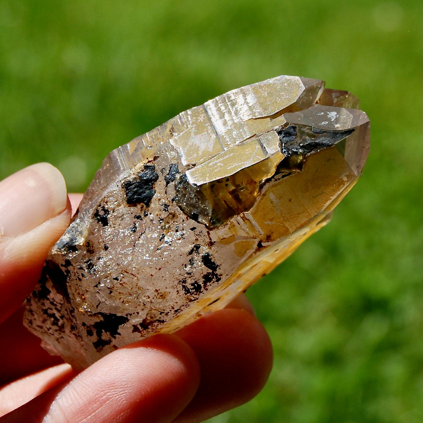 Tantric Triplet Twin Smoky Quartz Crystal Cathedral Starbrary, Akashic Lines, Malawi