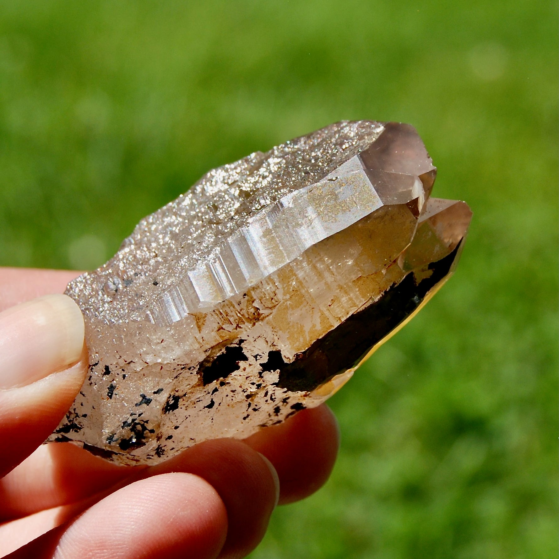 Tantric Triplet Twin Smoky Quartz Crystal Cathedral Starbrary, Akashic Lines, Malawi