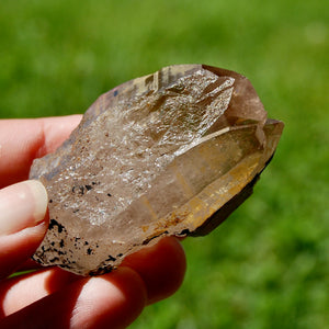 Tantric Triplet Twin Smoky Quartz Crystal Cathedral Starbrary, Akashic Lines, Malawi