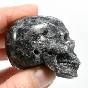Arfvedsonite Garnet Crystal Skull Realistic