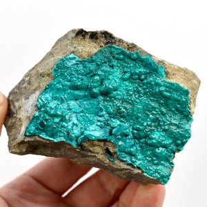 Botryoidal Chrysocolla x Malachite Crystal