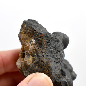 Botryoidal Goethite Mineral x Quartz Crystal Specimen
