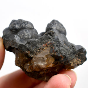 Botryoidal Goethite Mineral x Quartz Crystal Specimen