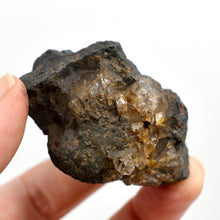 Load image into Gallery viewer, Botryoidal Goethite Mineral x Quartz Crystal Specimen
