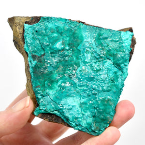 4.2in 208g Raw Silica Chrysocolla x Malachite Crystal, Congo cr2