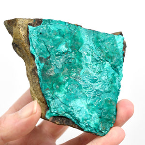 4.2in 208g Raw Silica Chrysocolla x Malachite Crystal, Congo cr2