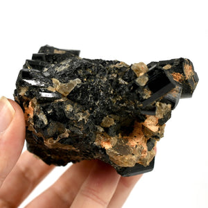 Raw Black Tourmaline Crystal Cluster