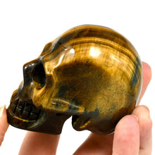 Load image into Gallery viewer, Tiger&#39;s Eye w Blue Carved Crystal Skull
