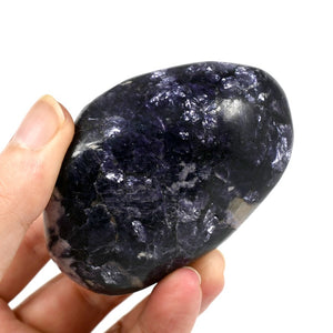 Silver Leaf Gem Lepidolite Crystal Palm Stone