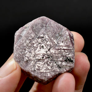 Hexagon Ruby Corundum Crystal Record Keeper, Natural Raw Ruby Crystal