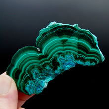 Load image into Gallery viewer, 3in 46g Malachite Chrysocolla Crystal Slab Slice, Congo mc4
