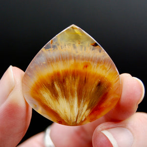 Sagenite Rutile Agate Teardrop Cabochon