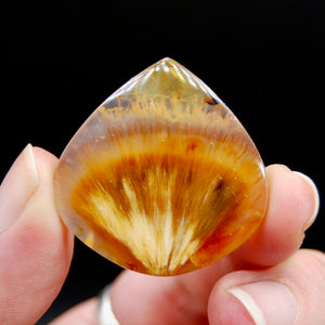 Sagenite Rutile Agate Teardrop Cabochon