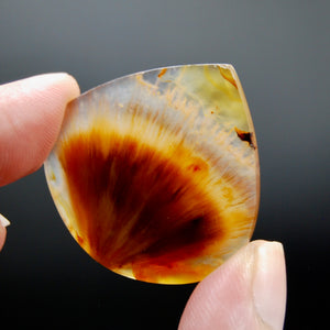 Sagenite Rutile Agate Teardrop Cabochon