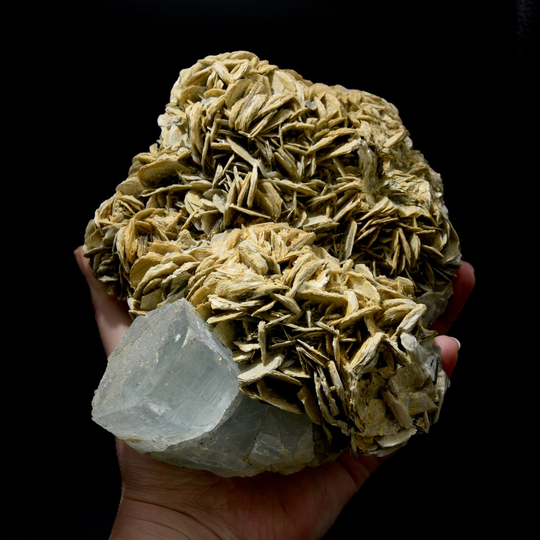 Raw Aquamarine Crystal Beryl Pink Fluorite Muscovite Matrix