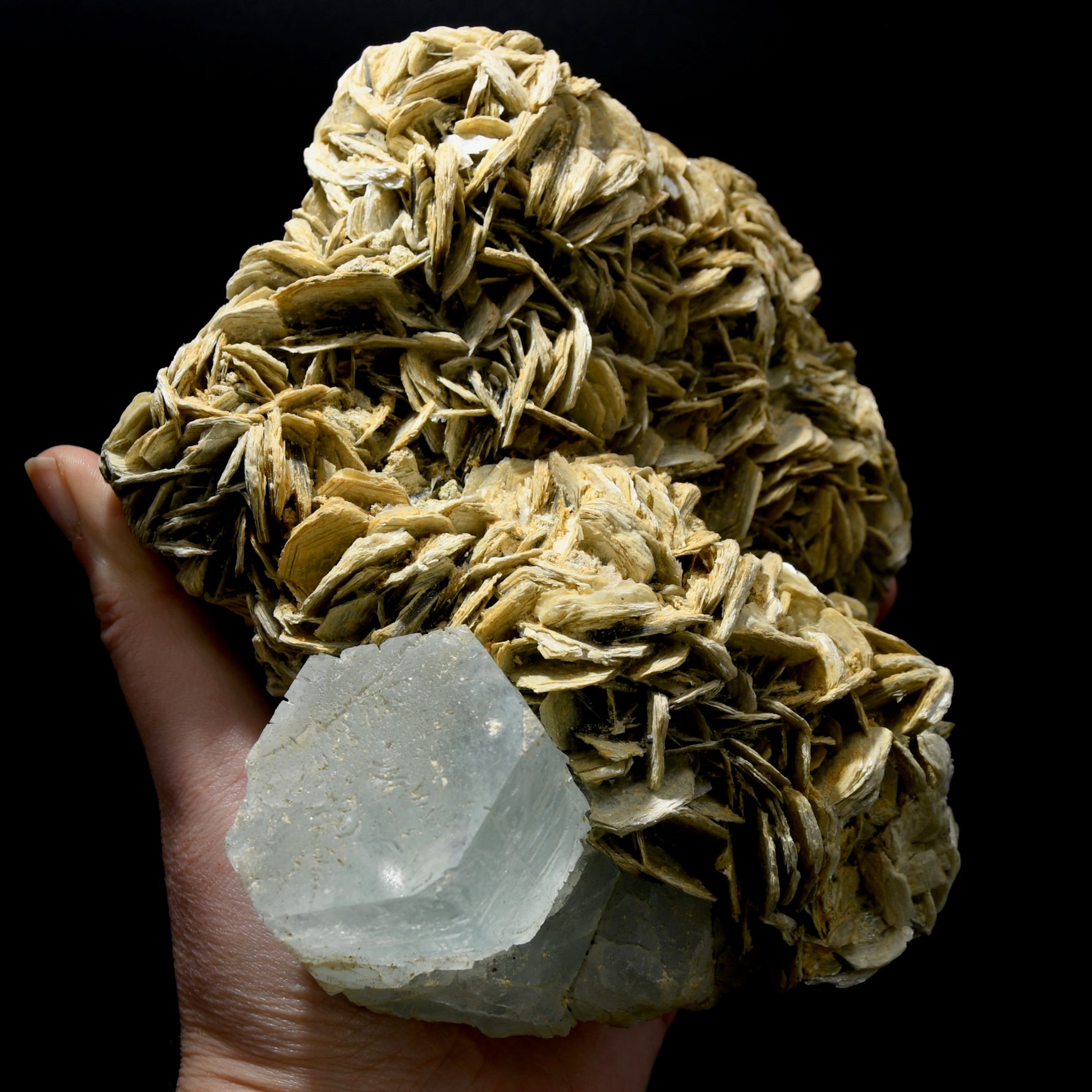Raw Aquamarine Crystal Beryl Pink Fluorite Muscovite Matrix