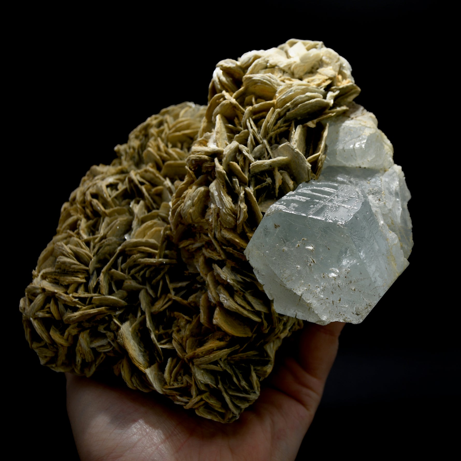 Raw Aquamarine Crystal Beryl Pink Fluorite Muscovite Matrix