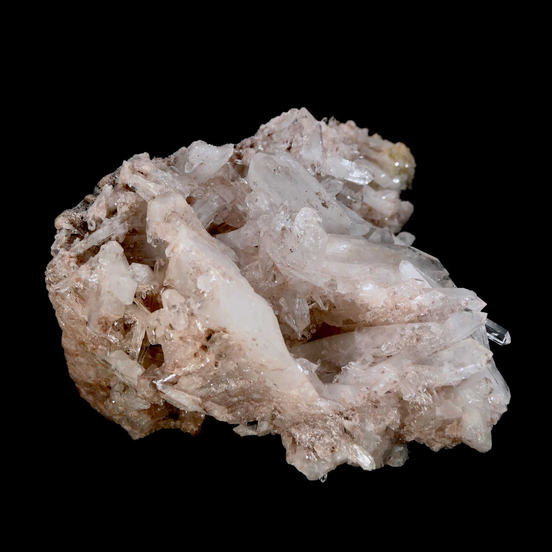 XL Pink Faden Quartz x Lemurian Crystal Cluster