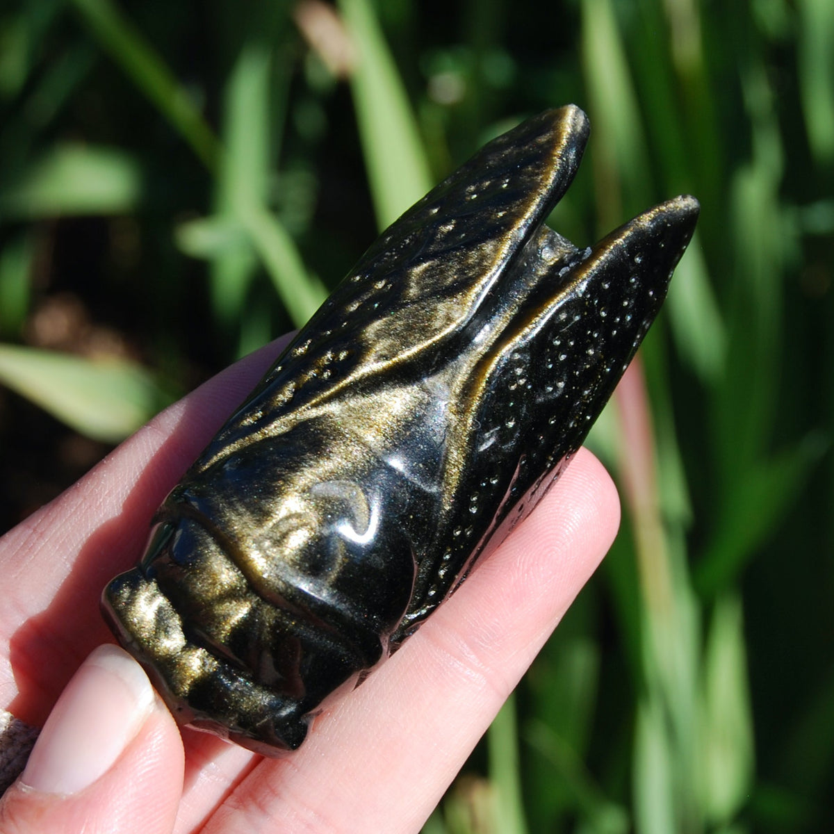 Gold sheen Obsidian Cicada