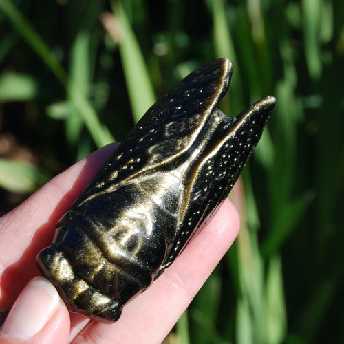 Gold sheen Obsidian Cicada