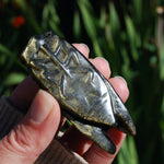Gold sheen Obsidian Cicada
