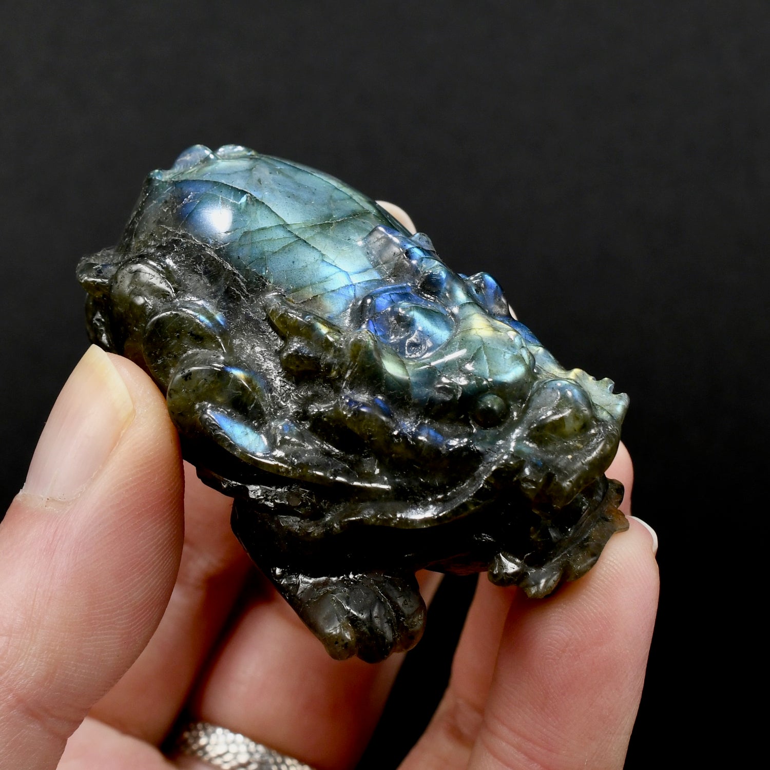 Labradorite Carved Crystal Dragon Turtle