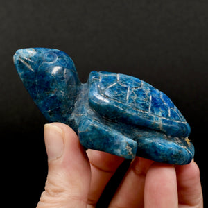 Large Apatite Carved Crystal Sea Turtle