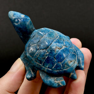 Large Apatite Carved Crystal Sea Turtle