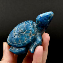 Load image into Gallery viewer, Large Apatite Carved Crystal Sea Turtle
