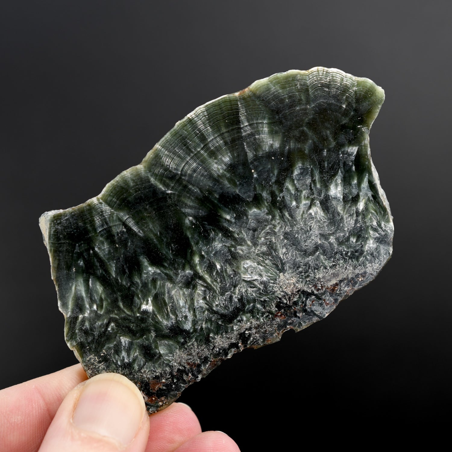 Seraphinite Crystal Slab Slice