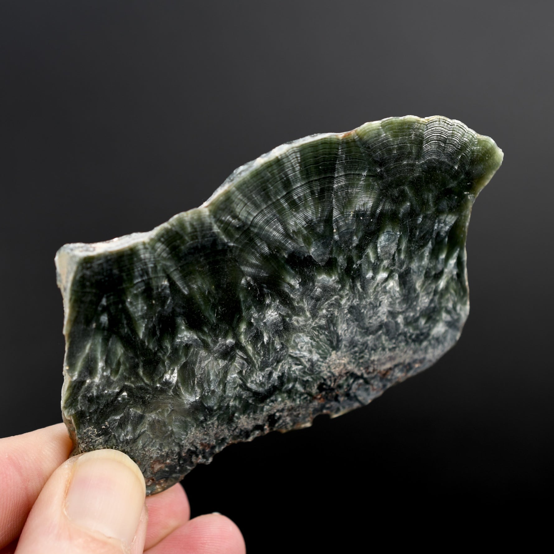 Seraphinite Crystal Slab Slice