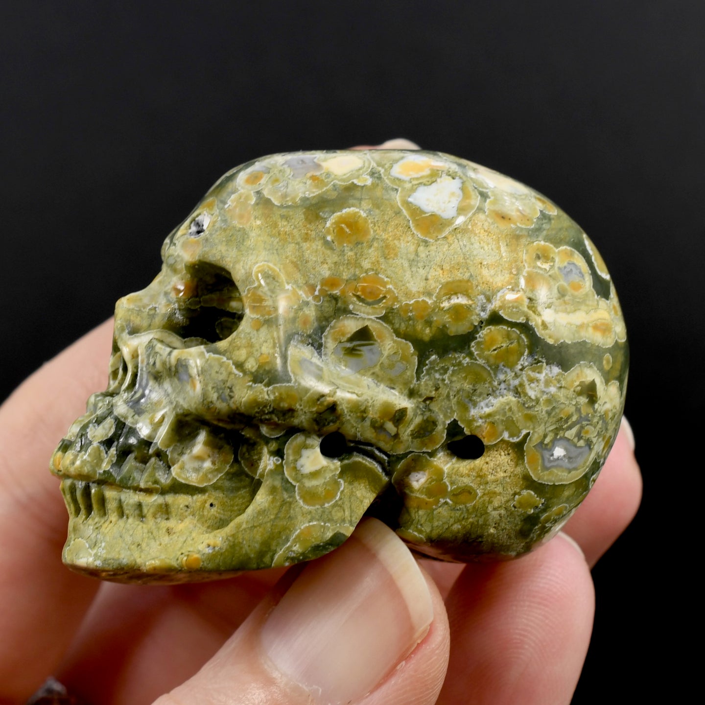 Rhyolite Rainforest Jasper Crystal Skull