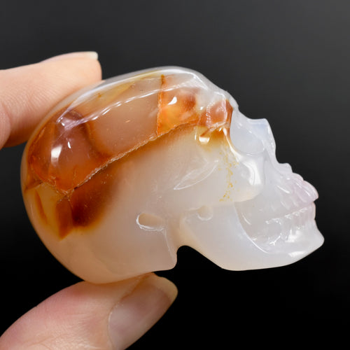 Carnelian Agate Carved Crystal Skull