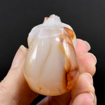 Carnelian Agate Carved Crystal Skull