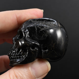 Petrified Wood Crystal Skull