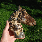 Picture Jasper Horse Crystal Carving