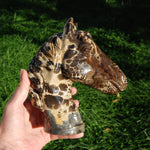 Picture Jasper Horse Crystal Carving