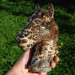 Picture Jasper Horse Crystal Carving