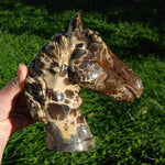 Picture Jasper Horse Crystal Carving