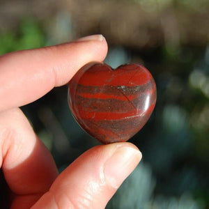 ONE African Bloodstone Crystal Heart Shaped Palm Stone 1"